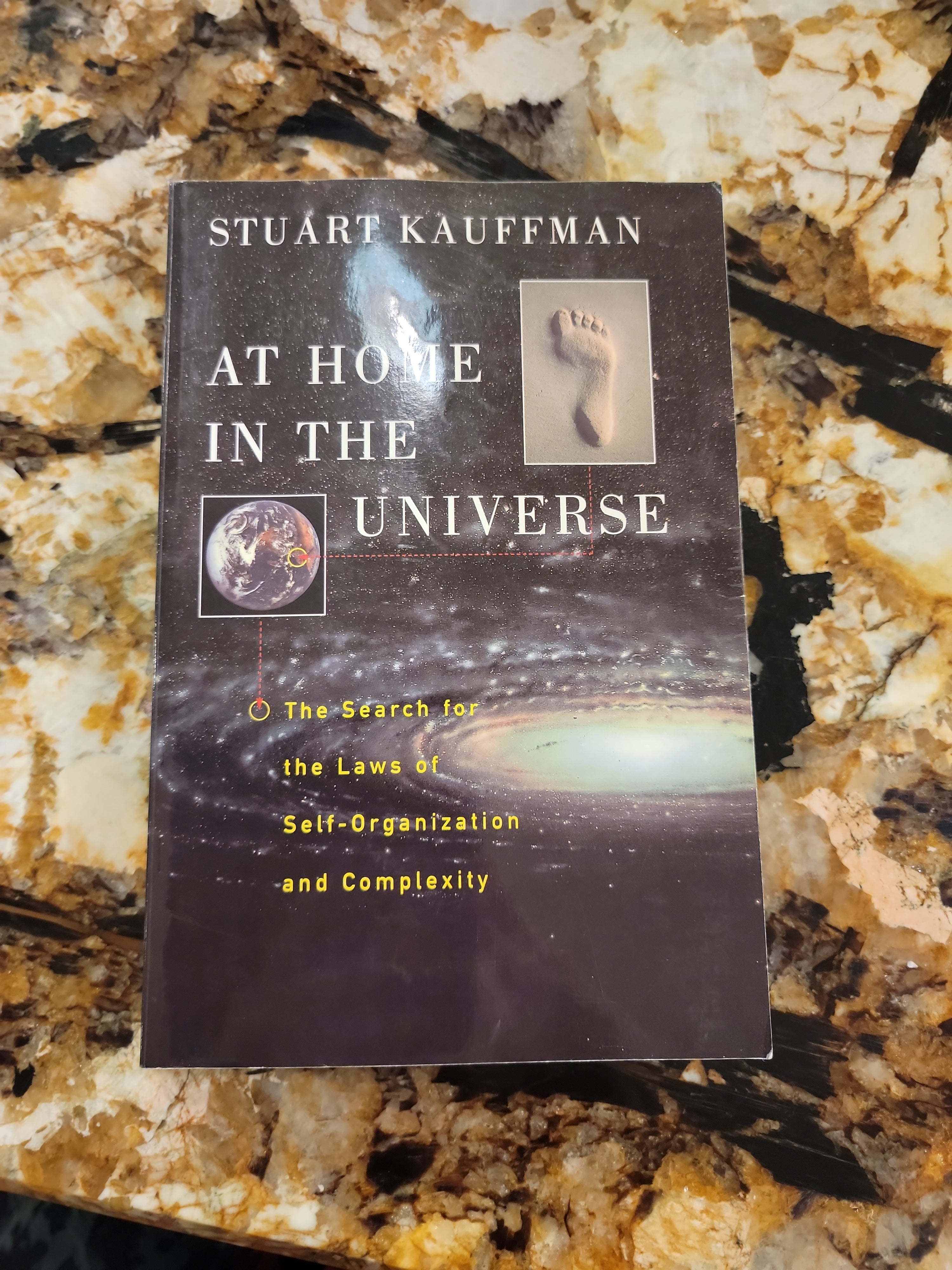 At Home in the Universe