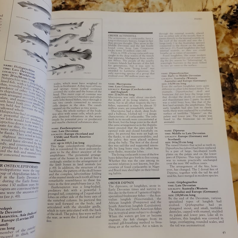 The Macmillan Illustrated Encyclopedia of Dinosaurs and Prehistoric Animals