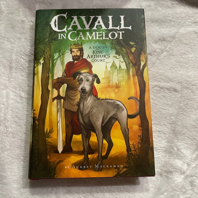 Cavall in Camelot #1: a Dog in King Arthur's Court