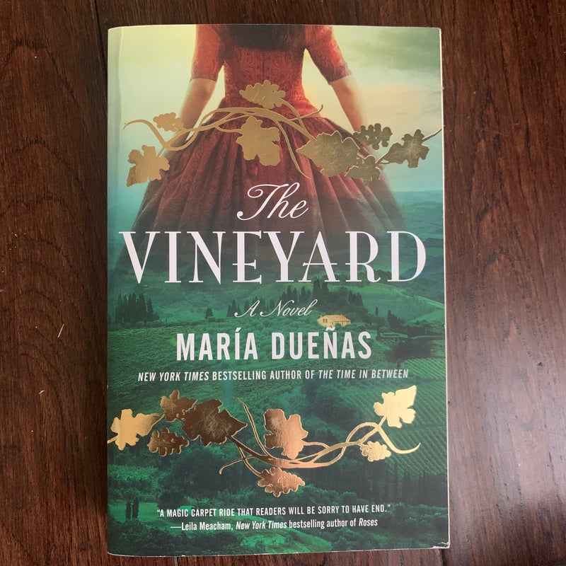 The Vineyard