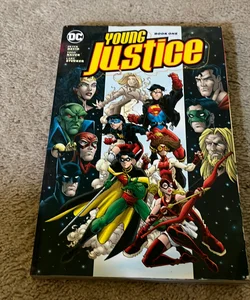 Young Justice Book One