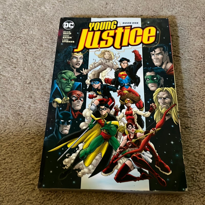 Young Justice Book One