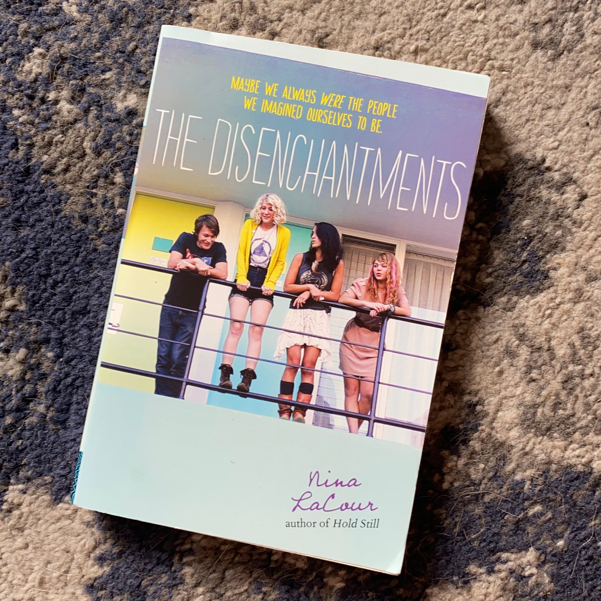 The Disenchantments