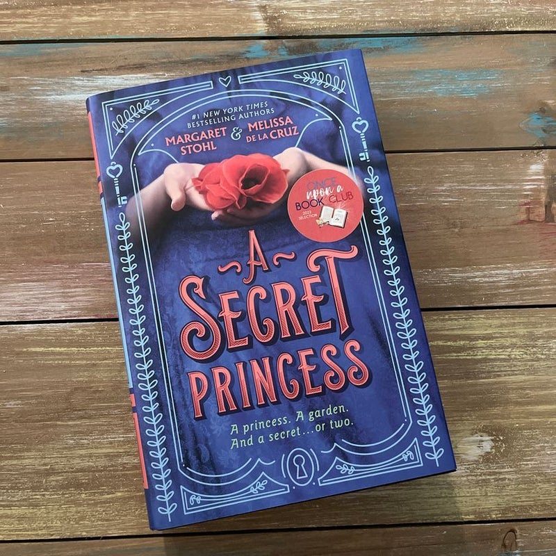 A Secret Princess