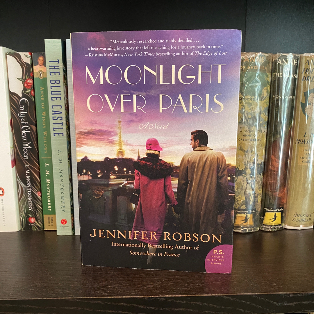 Moonlight over Paris