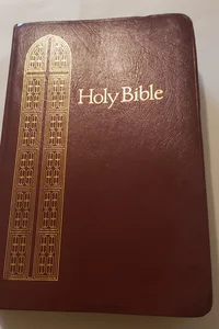 THE HOLY BIBLE 