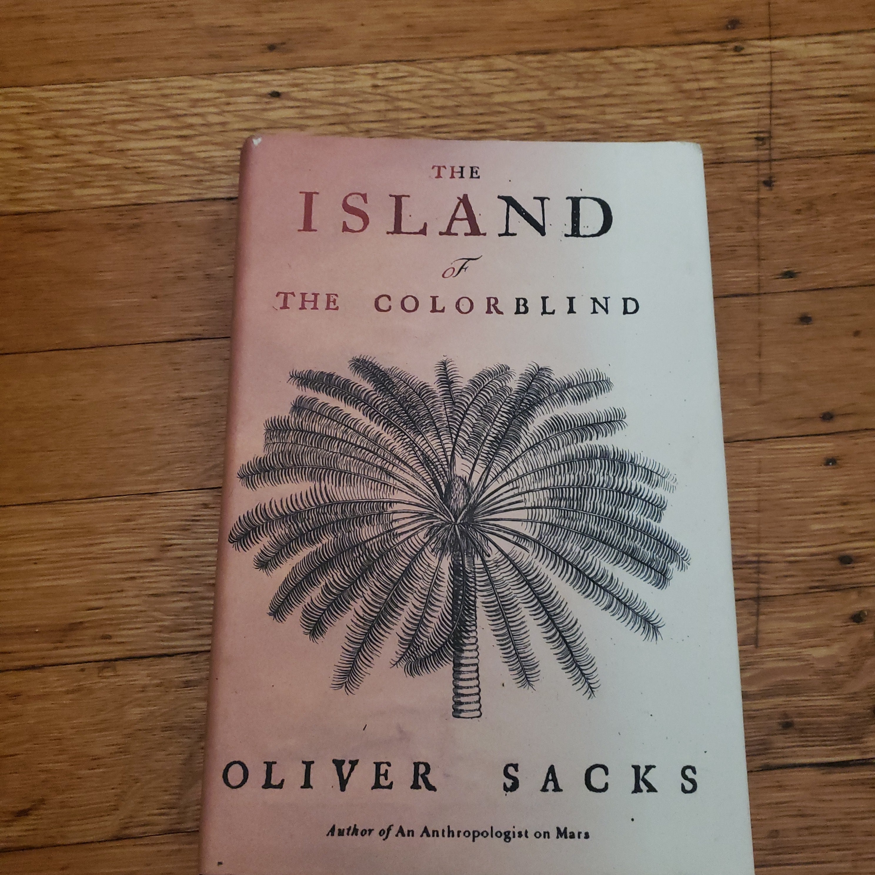 The Island of the Colorblind