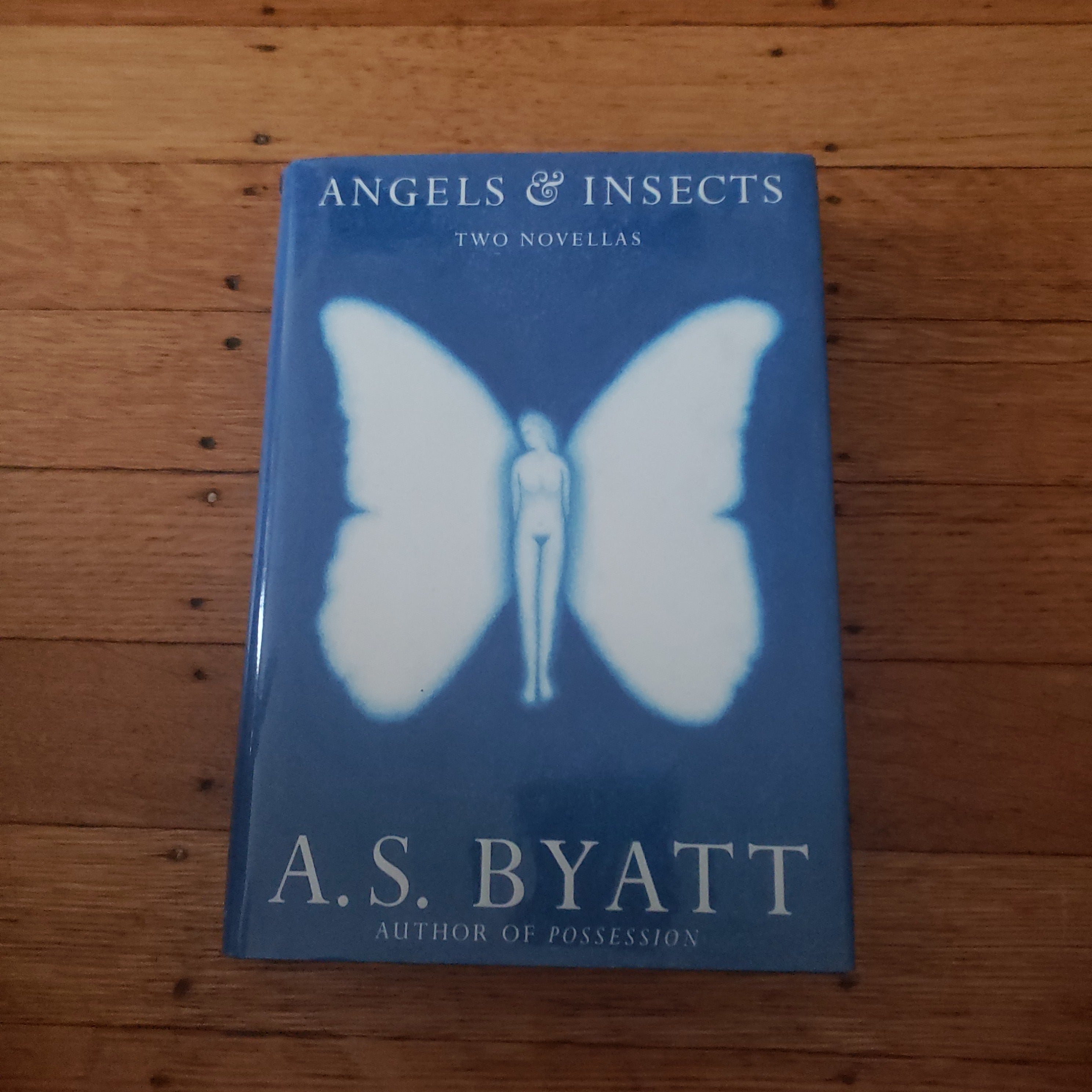 Angels and Insects