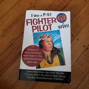I Was a P-51 Fighter Pilot in WWII