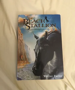 The Black Stallion 