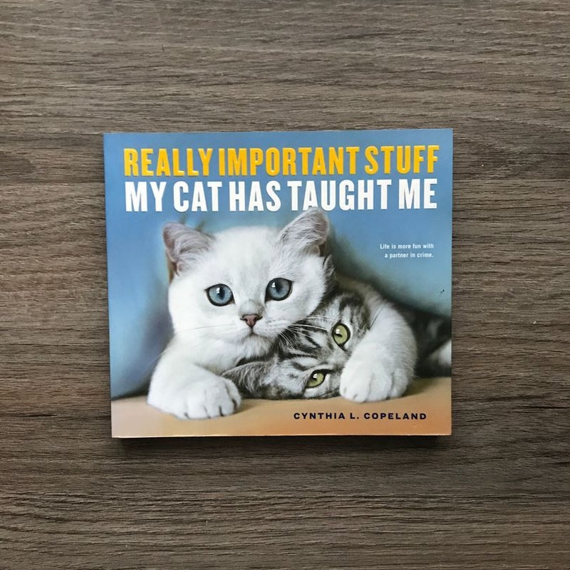 Really Important Stuff My Cat Has Taught Me