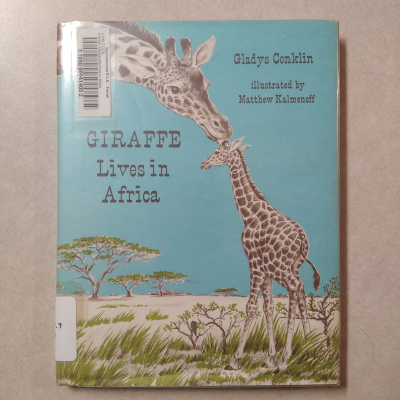 Giraffe Lives in Africa