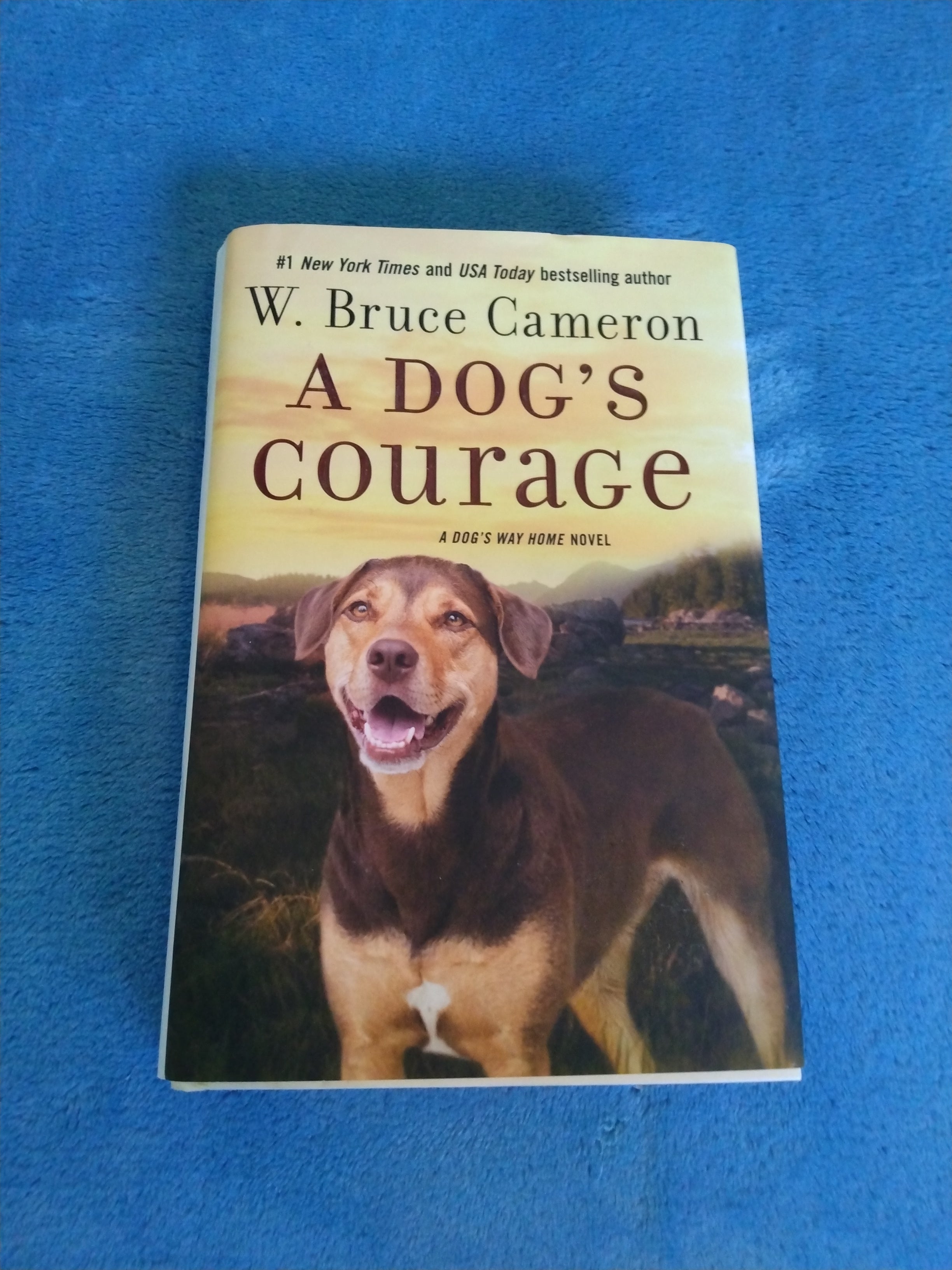 A Dog's Courage