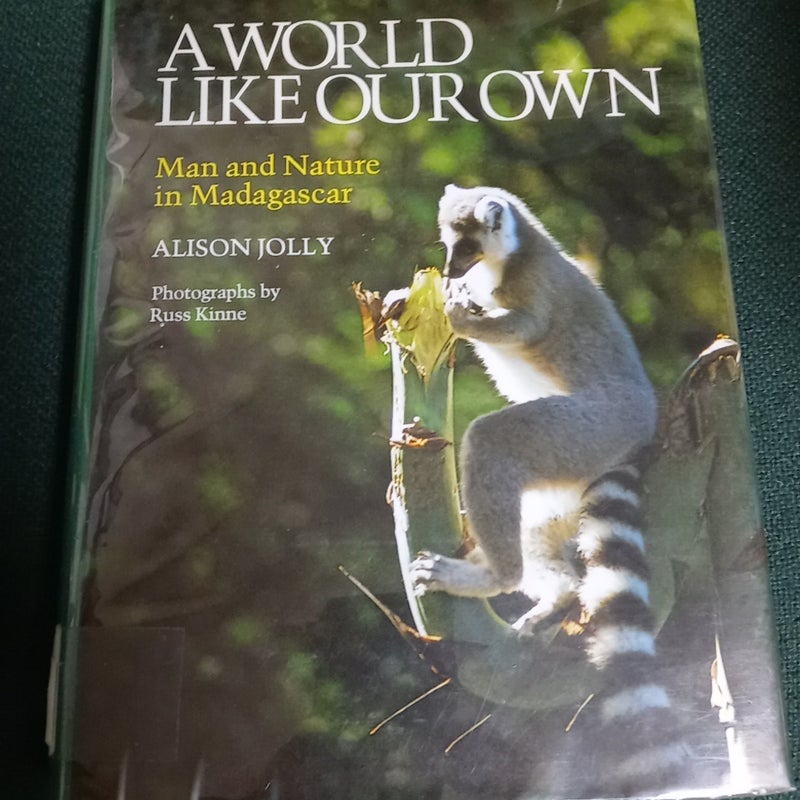 A World Like Our Own