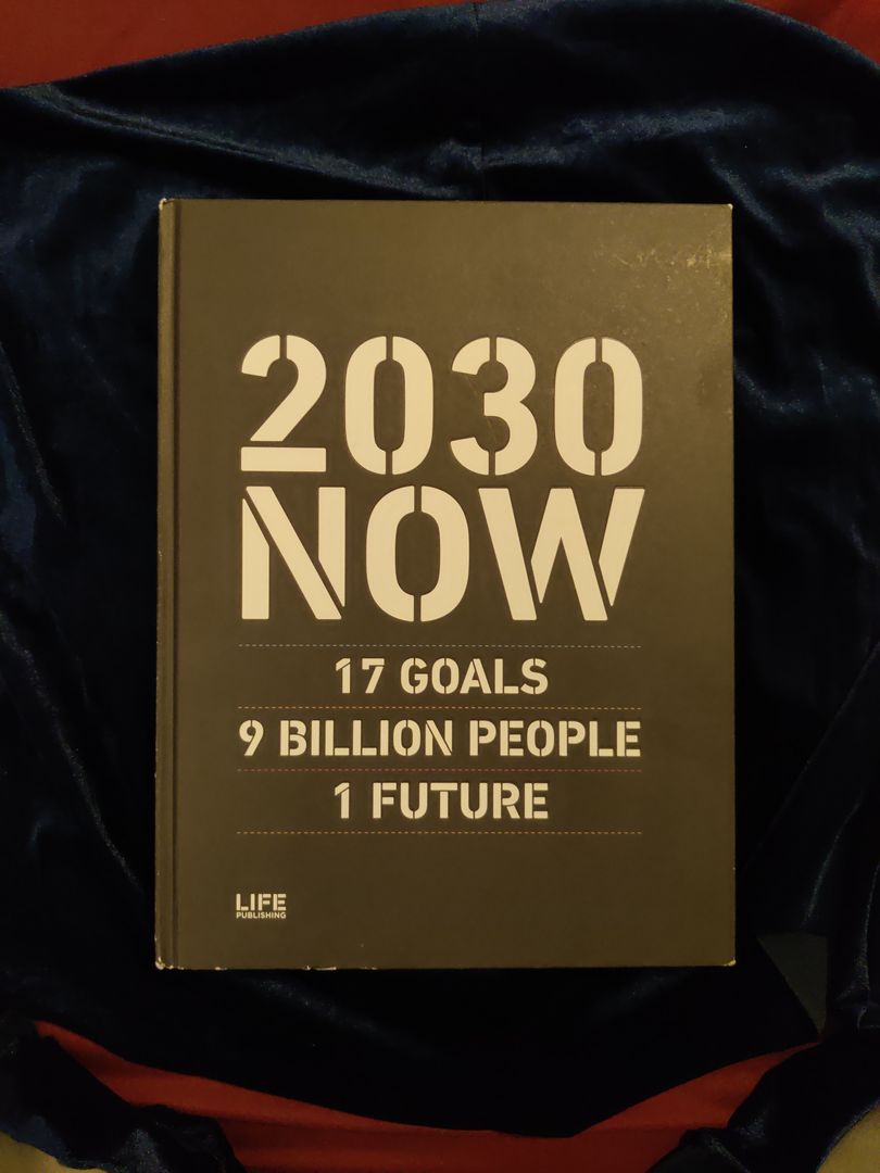 2030 NOW 