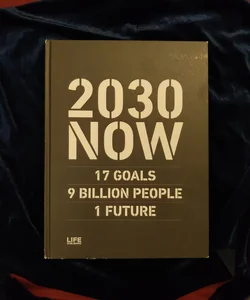 2030 NOW 