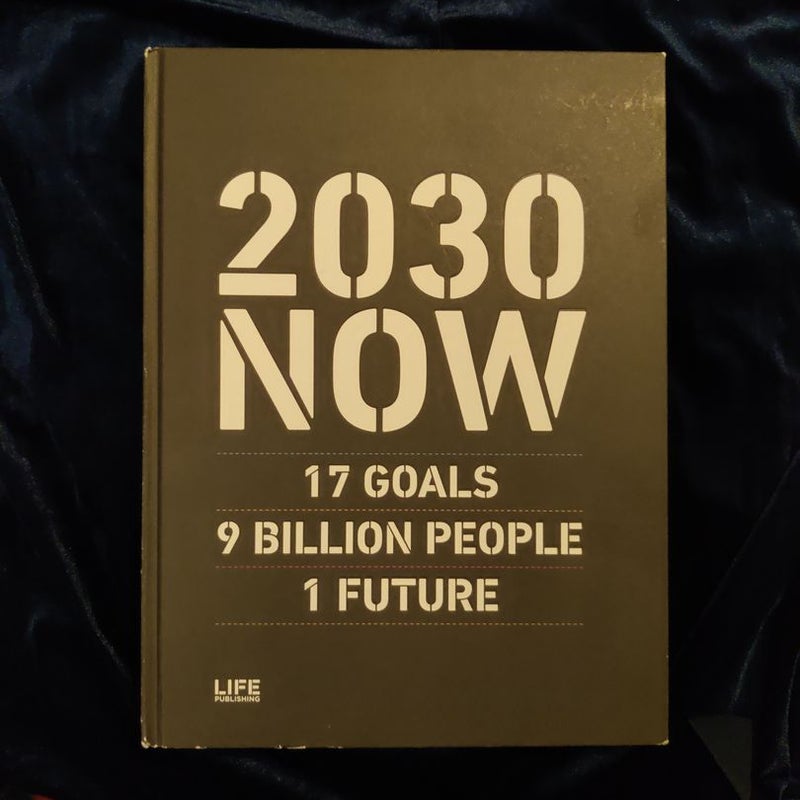 2030 NOW 