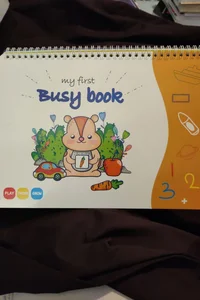 My first busy book 