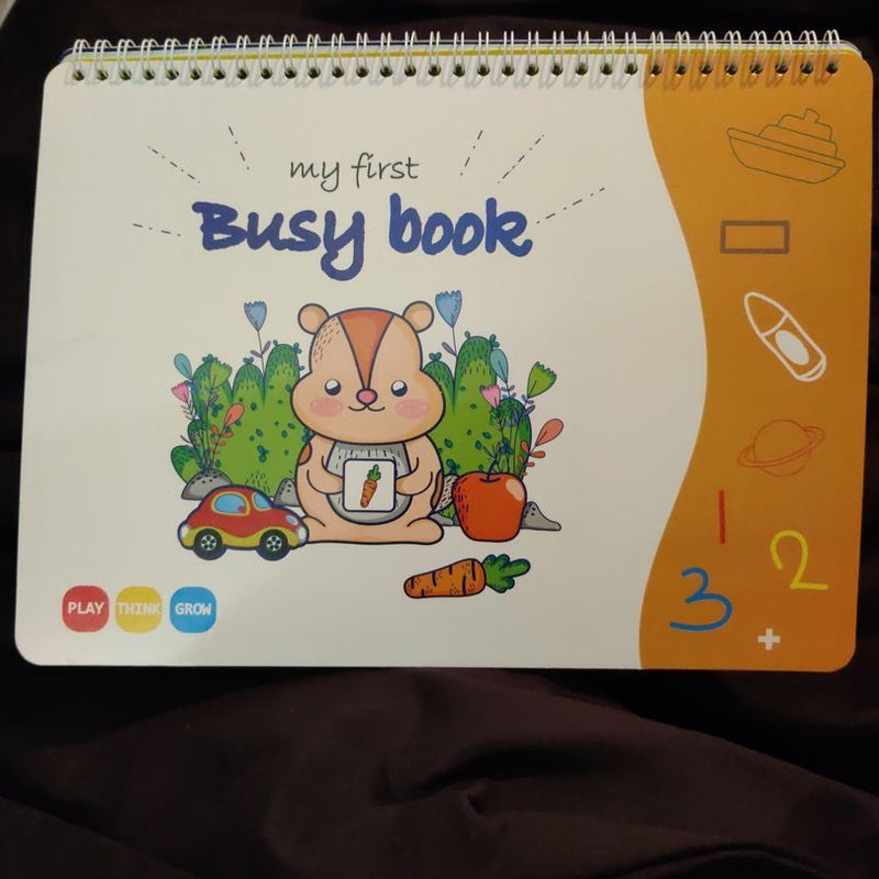 My first busy book 