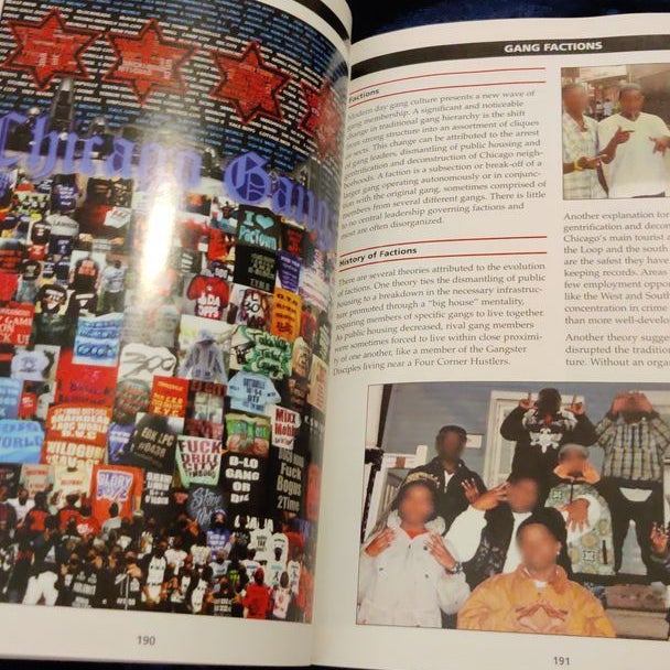 The Gang Book