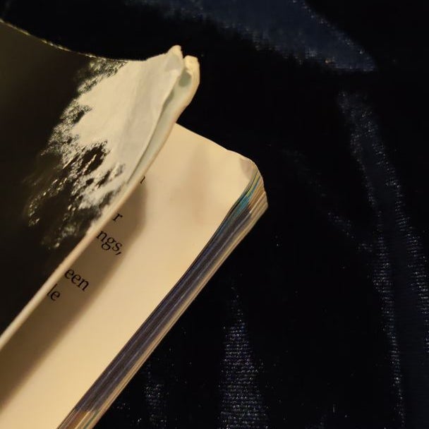 The Gang Book
