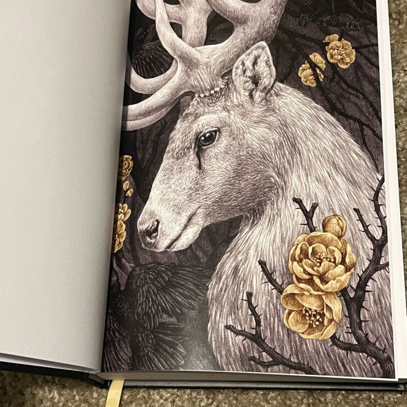 Shadow and Bone: the Collector's Edition