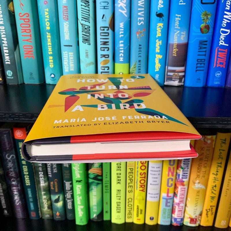 How to Turn into a Bird by Elizabeth Bryer, Hardcover | Pangobooks