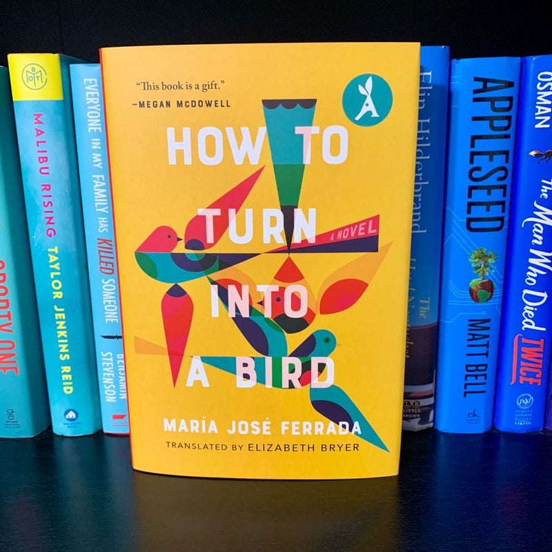 How to Turn into a Bird by Elizabeth Bryer, Hardcover | Pangobooks