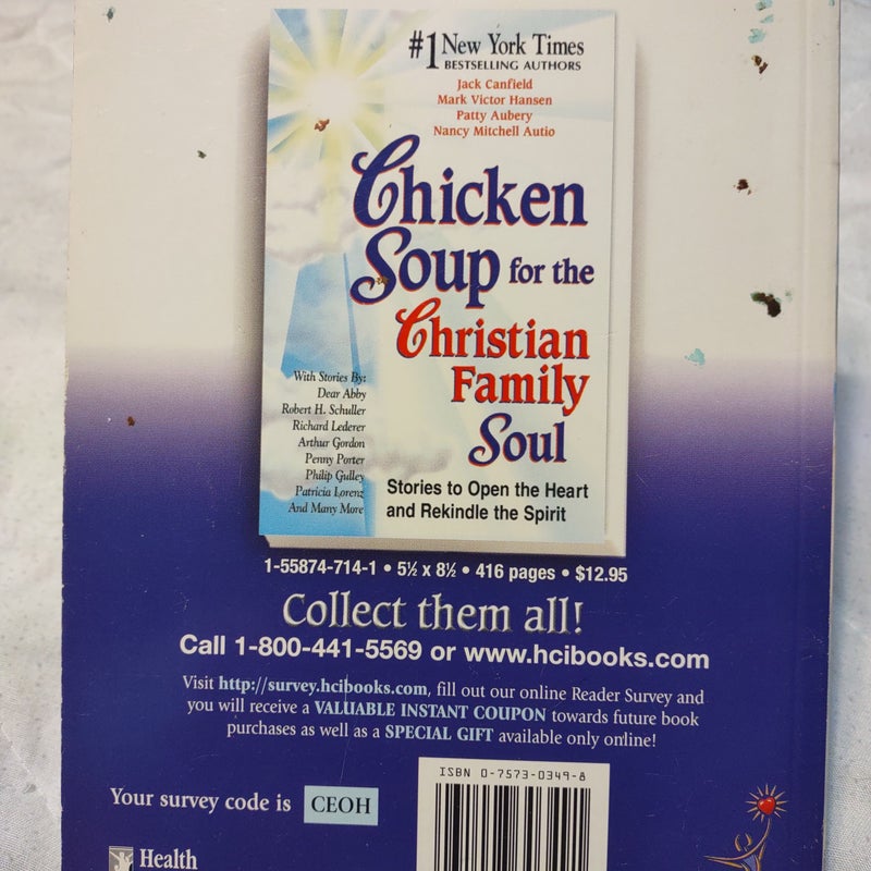 A Taste of Chicken Soup for the Christian Family Soul