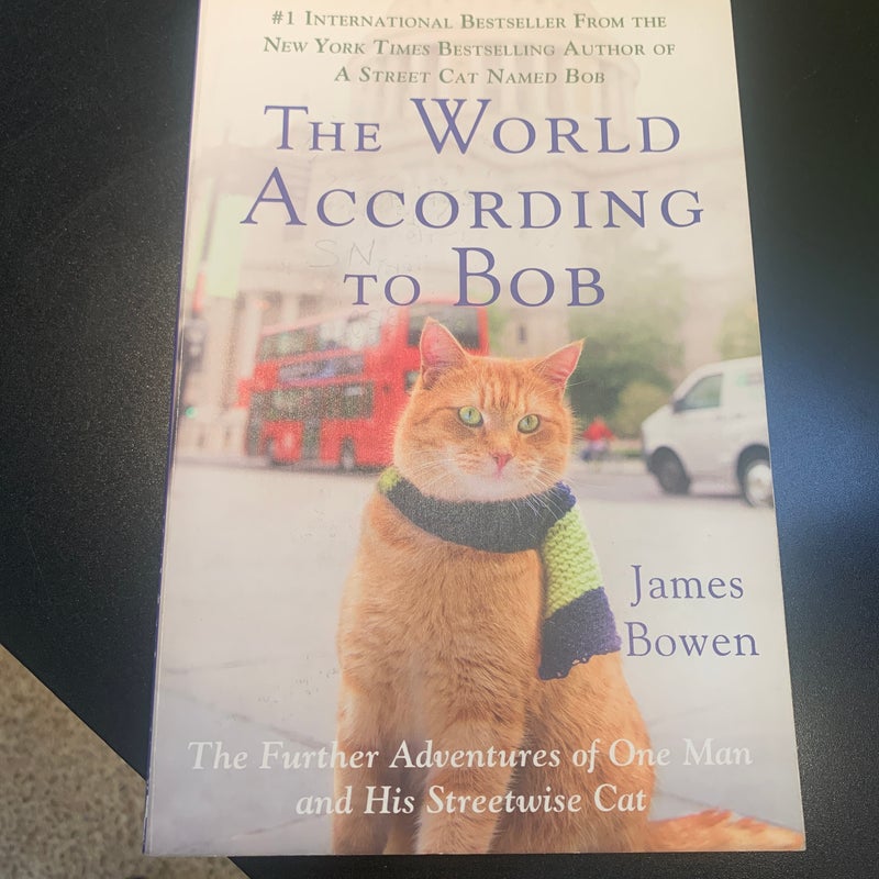 synopsis of the world according to bob