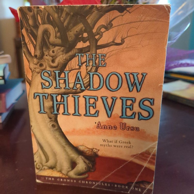 The Shadow Thieves