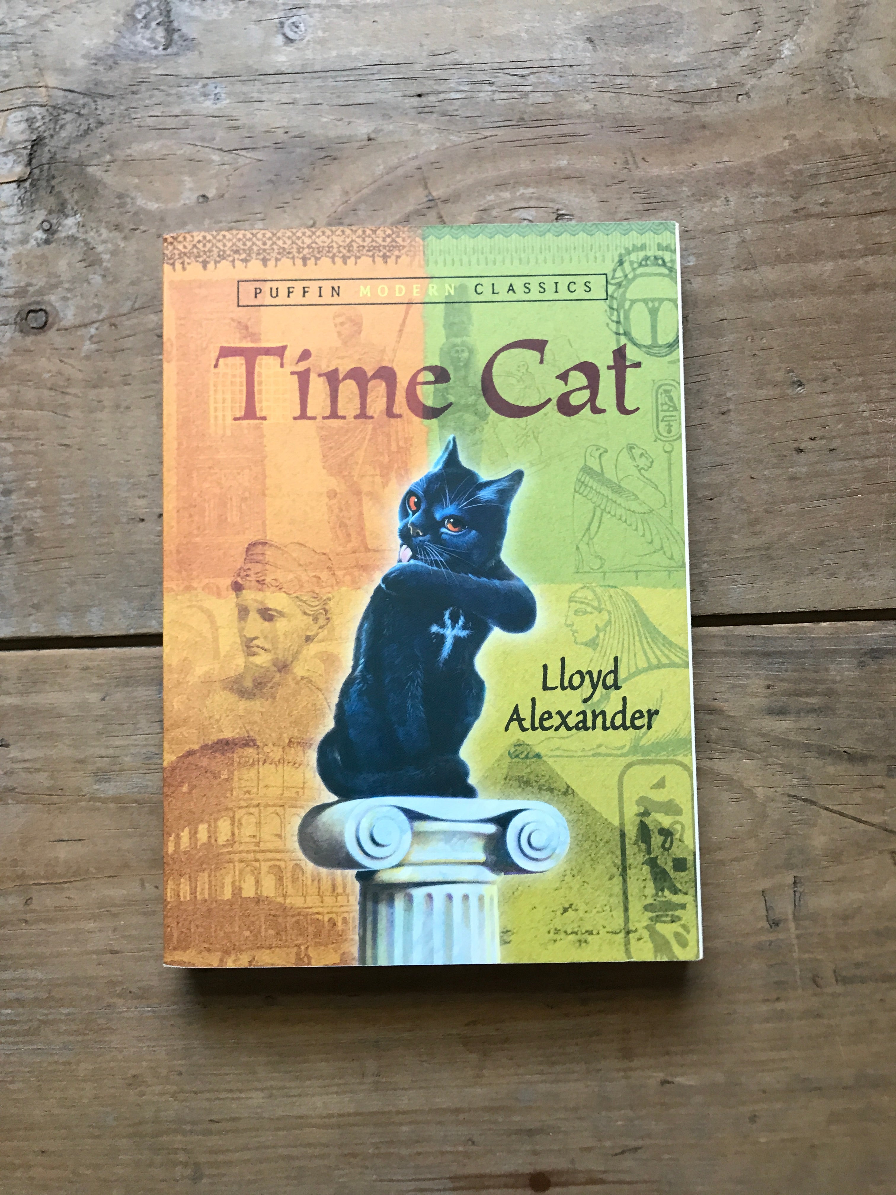 Time Cat