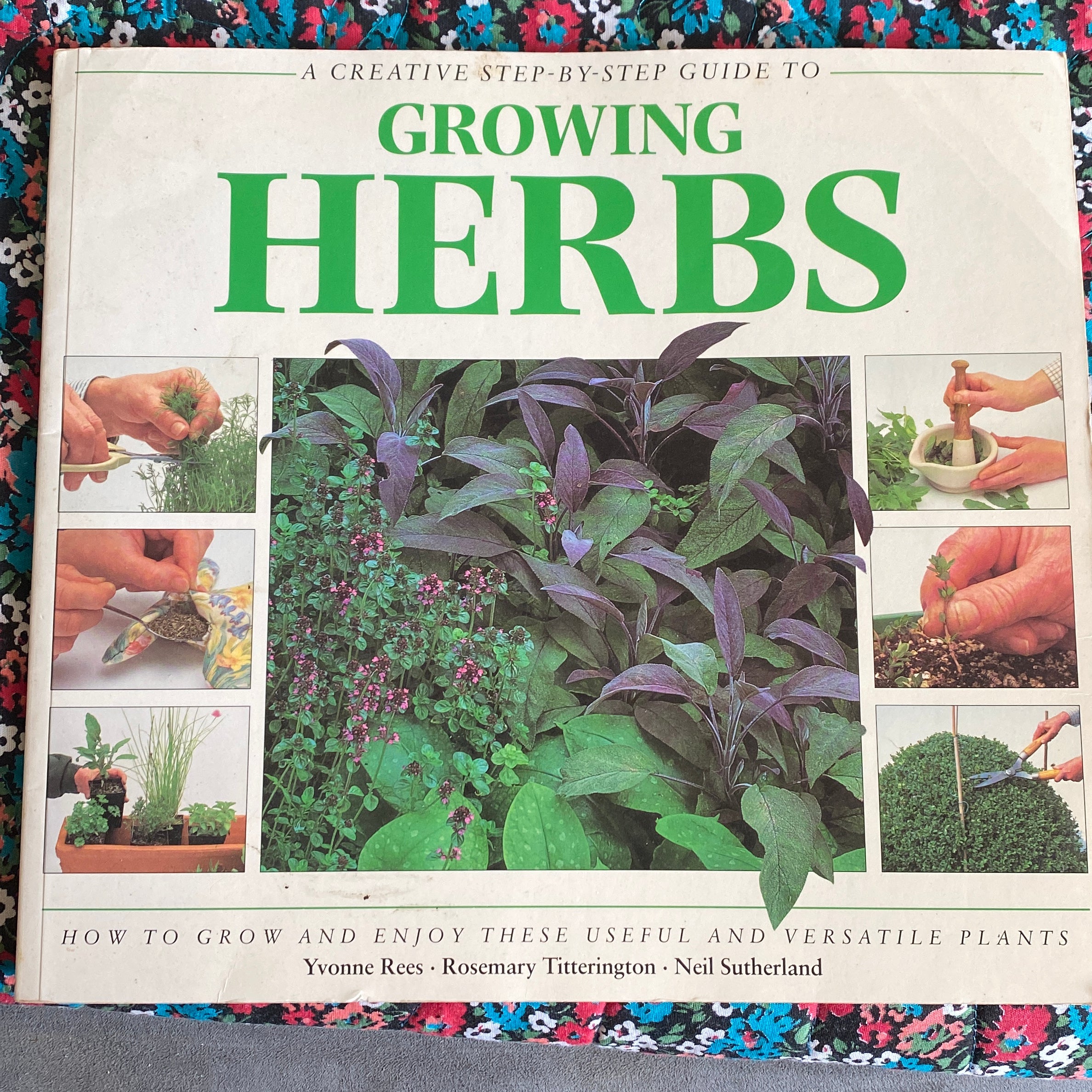 Creative Step by Step Guide to Growing Herbs