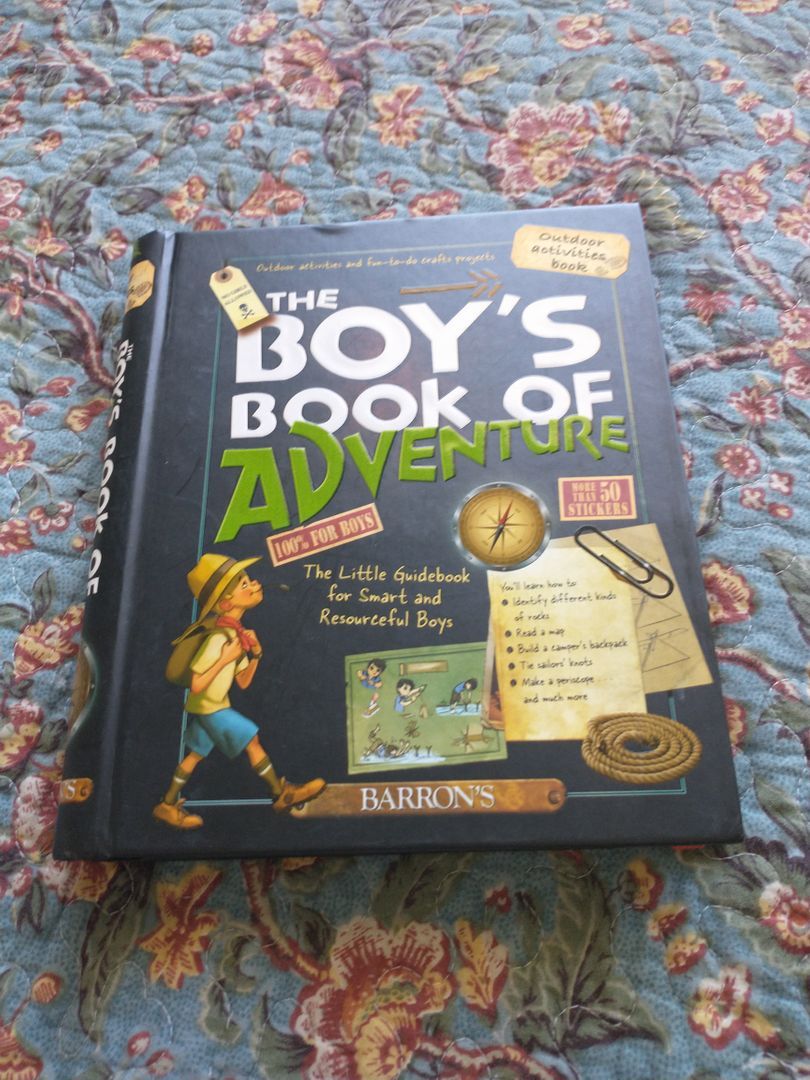 The Boy's Book of Adventure