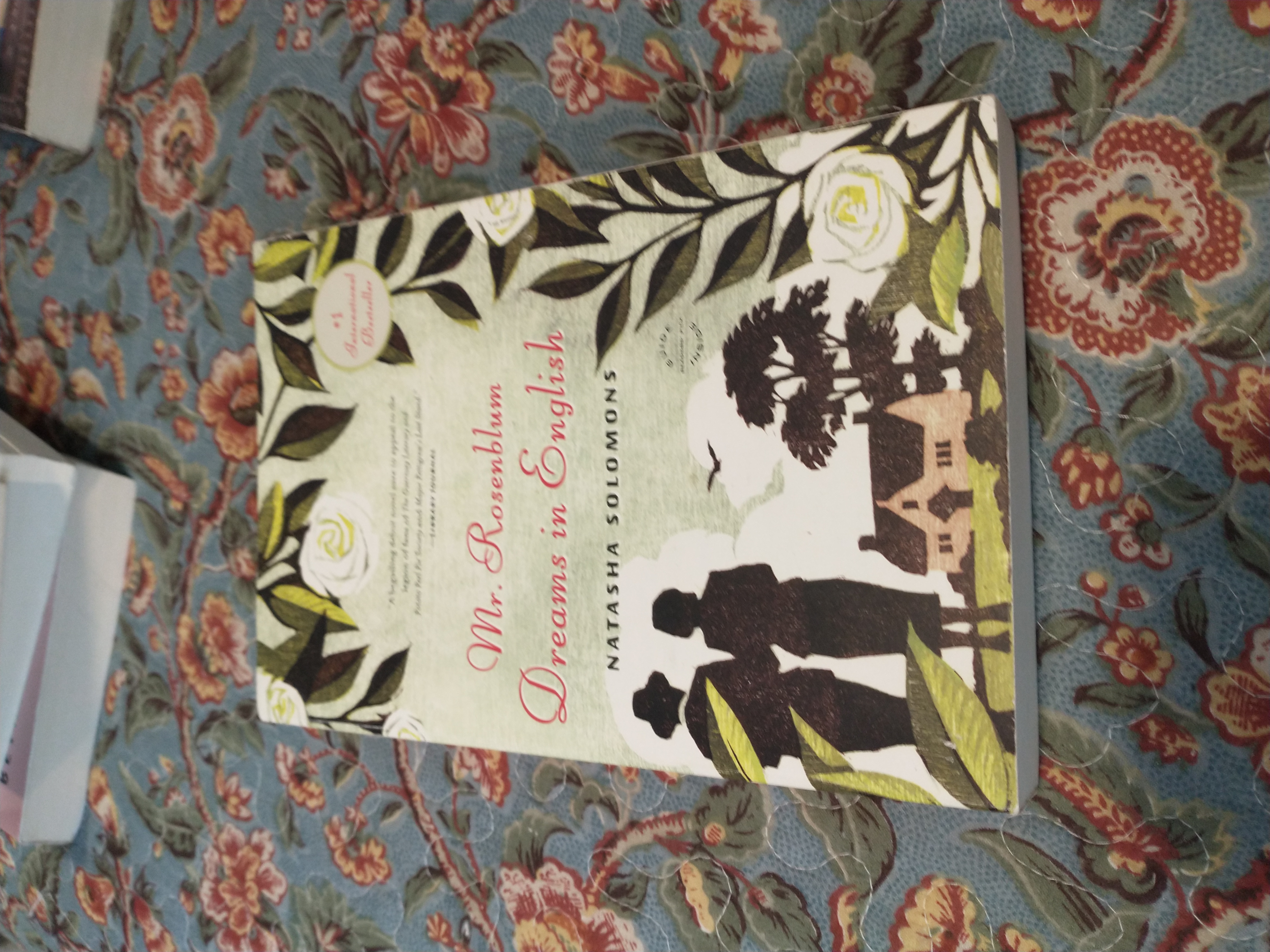 Mr. Rosenblum Dreams in English