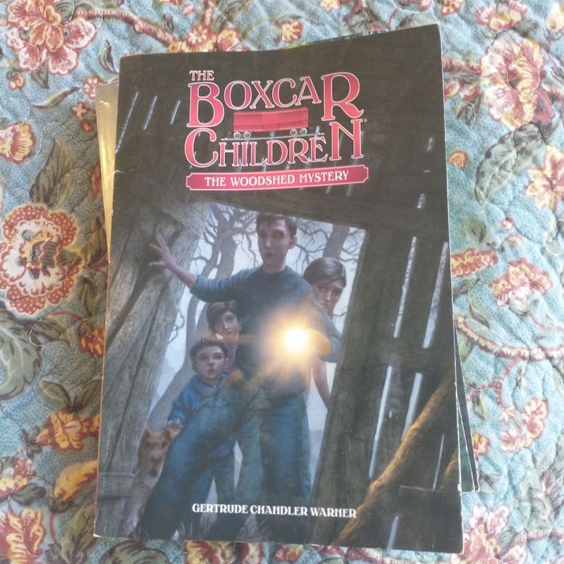 The BoxCar Children - Mountain Top Mystery/ Bundle #5-9