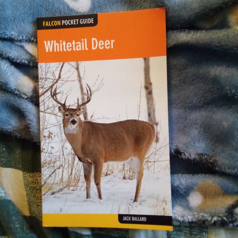 Whitetail Deer