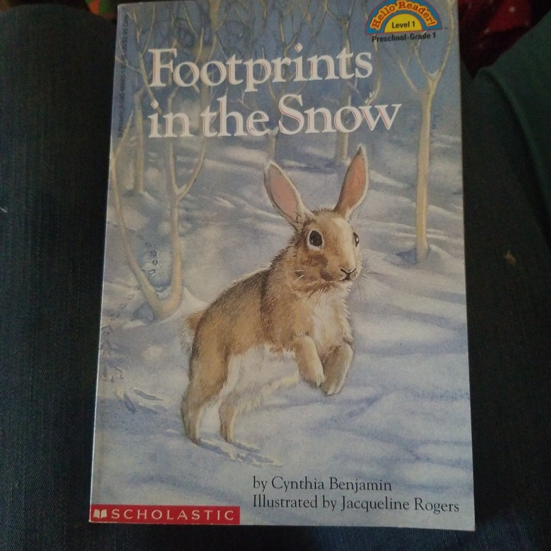 Footprints in the Snow