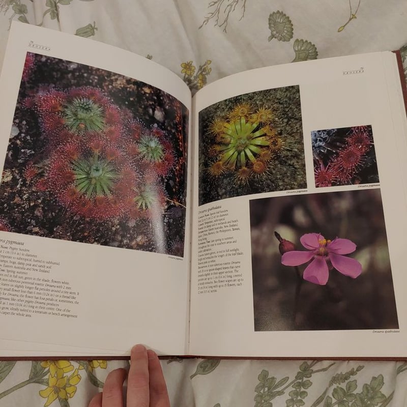 Guide to Carnivorus Plants of the World