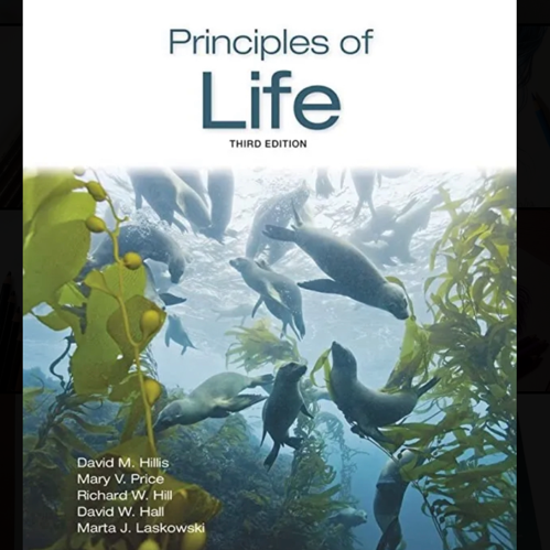 Principles of life 3rd edition
