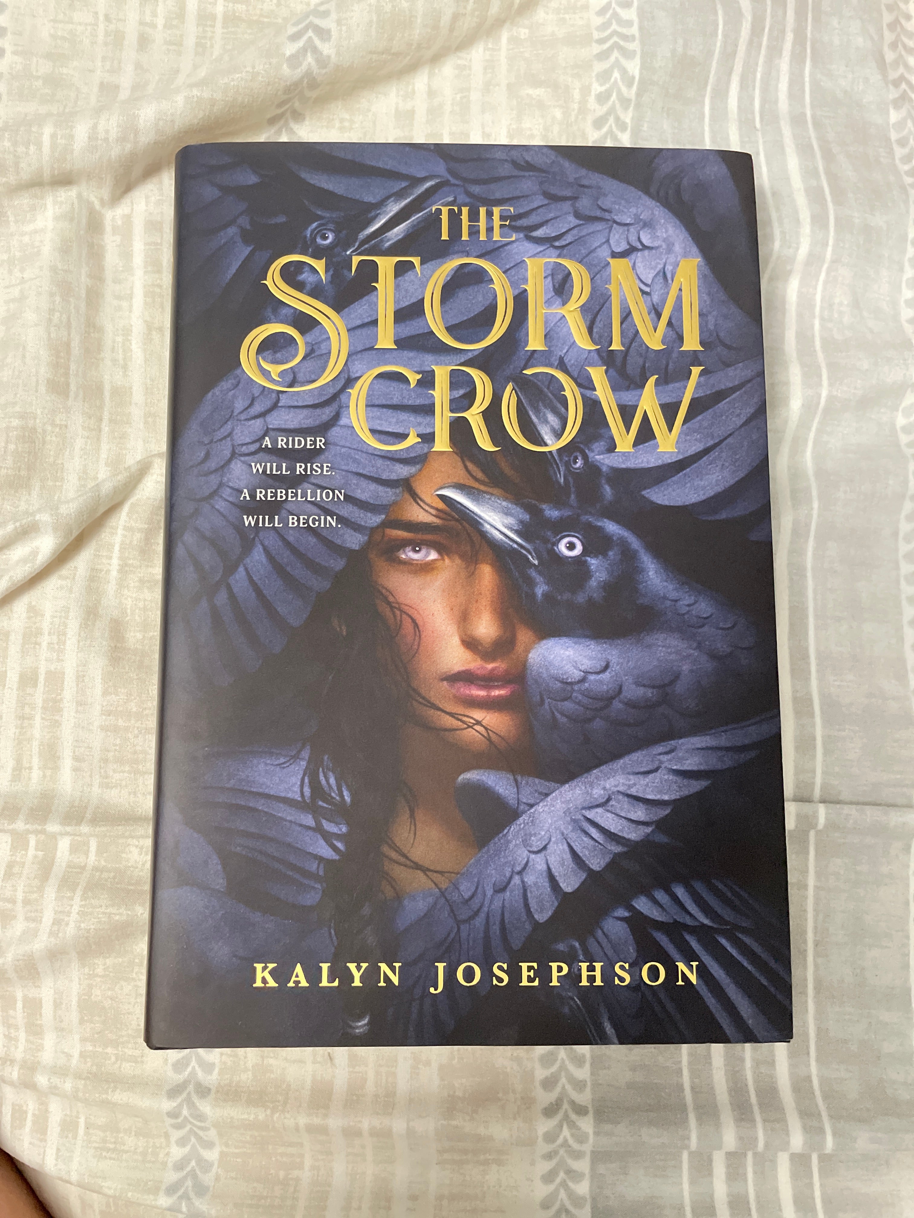 The Storm Crow