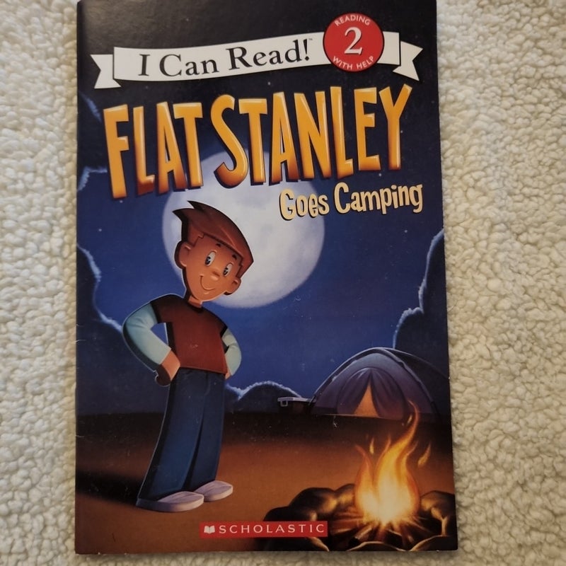 Flat Stanley Goes Camping