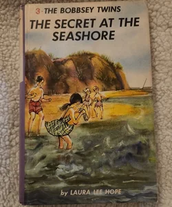 The Secret at the Seashore