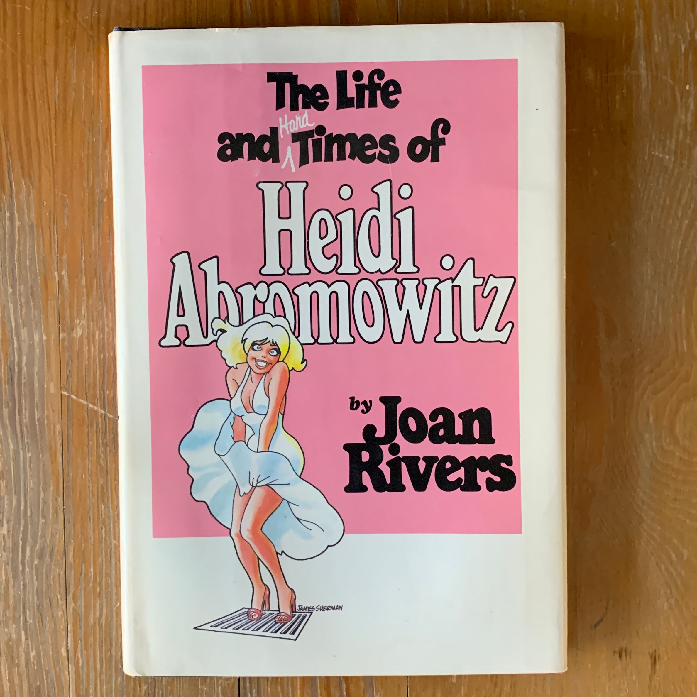 The Life and Hard Times of Heidi Abromowitz