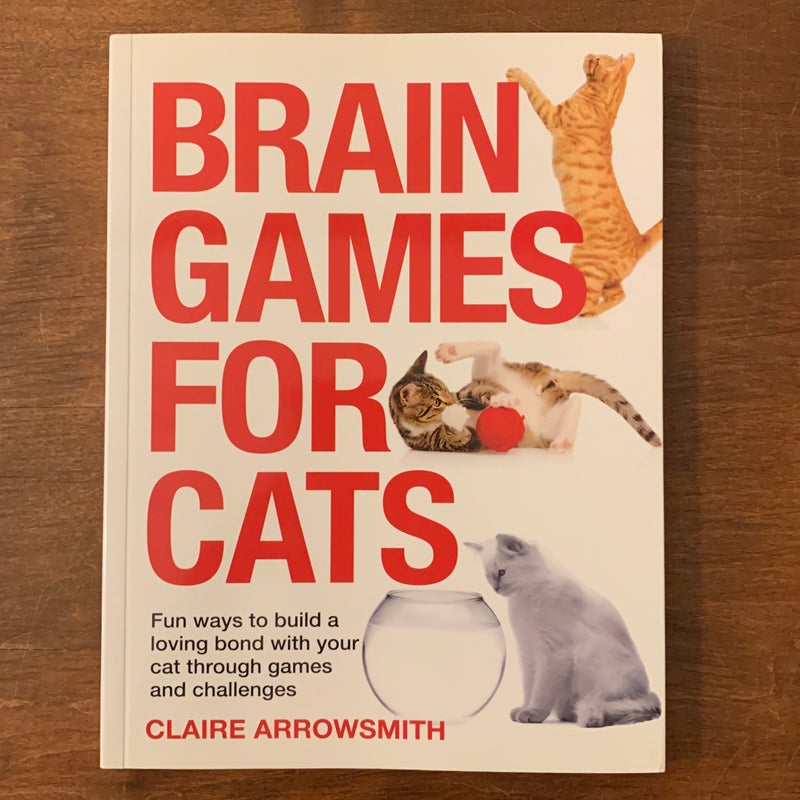 Brain Games for Cats