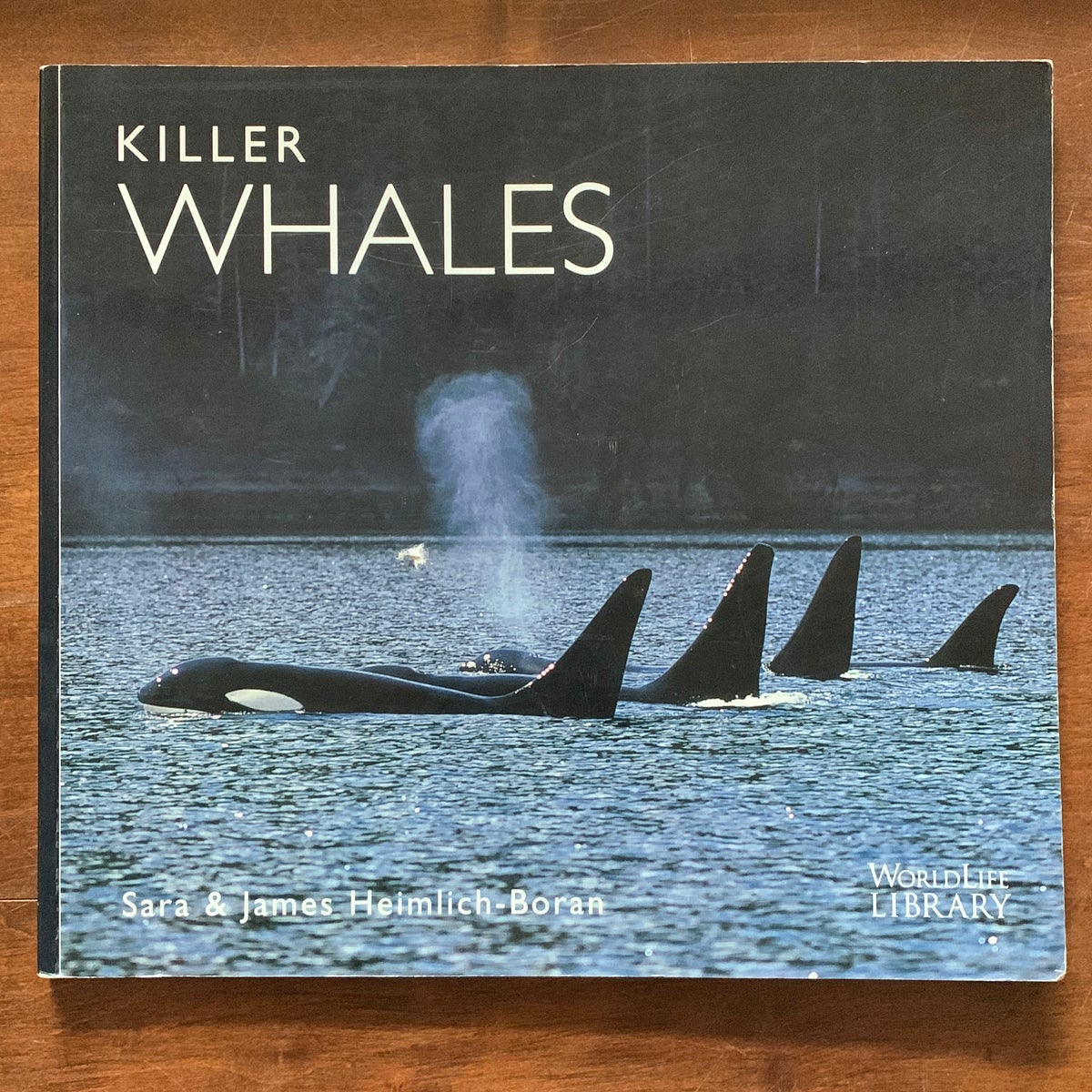 Killer Whales by James R. HeimlichBoran, Sara L. HeimlichBoran