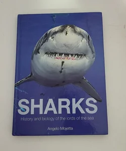 SHARKS 🦈 