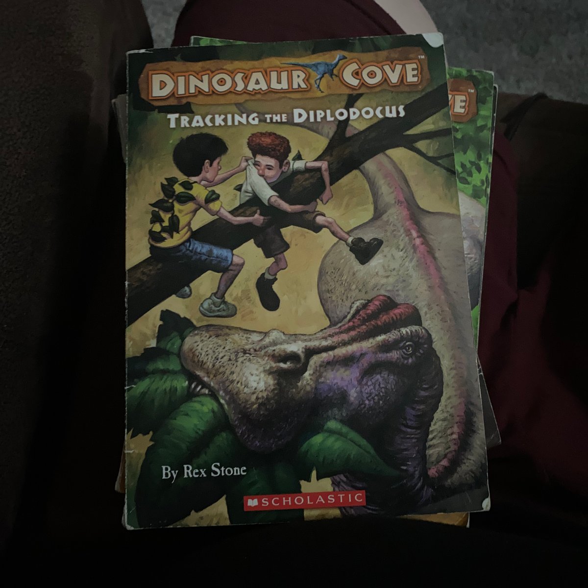 Tracking the Diplodocus by Rex Stone