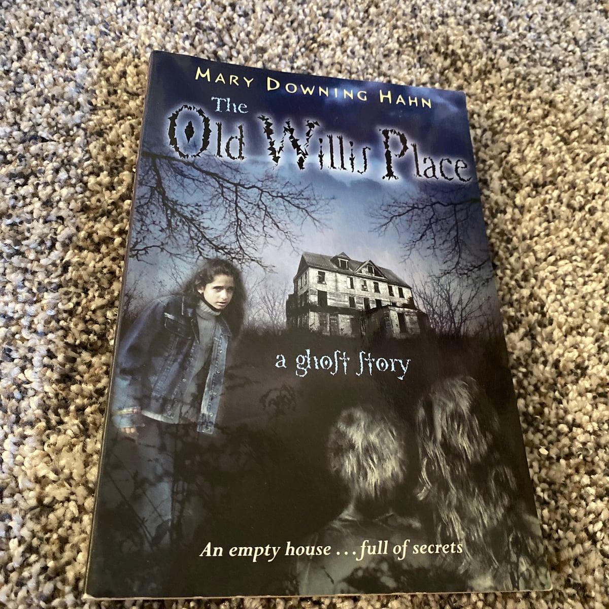 The Old Willis Place