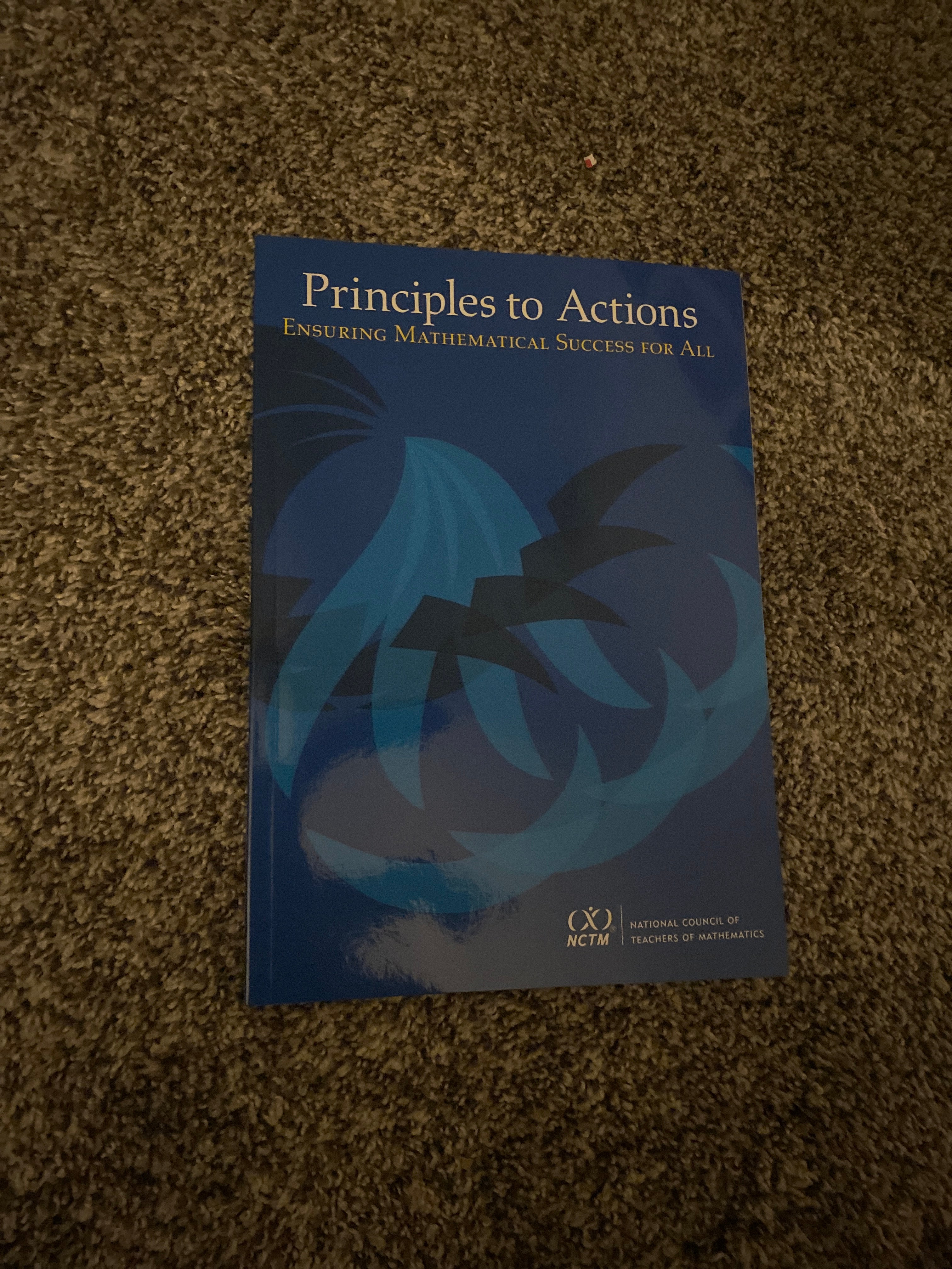 Principles to Actions